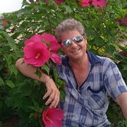  ,   , 50 ,   ,   