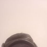  ,  , 46