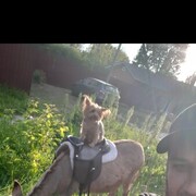 ���������� ������, ���� ������� Ibragim, 37 ���, ������������ ��� ������, ����� � ���������, ���������