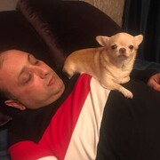 ���������� �������, ���� ������� ����, 46 ���, ������������ ��� ������, ����� � ���������