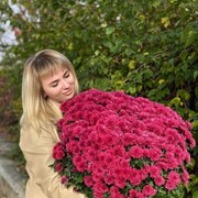 ���������� ���������, ����