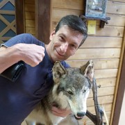 ���������� ������, ���� ������� ���������, 48 ���, ������������ ��� ������, ����� � ���������, c�������� ���������