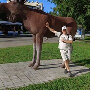 ���������� ������, ���� ������� �����, 41 ���, ������������ ��� ������, ����� � ���������