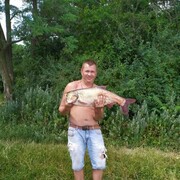 ���������� ������, ���� ������� �������, 40 ���, ������������ ��� ������, ����� � ���������