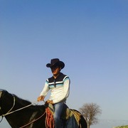  -,   Sultan, 31 ,   ,   , c 