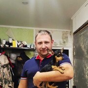  ,   , 44 ,   