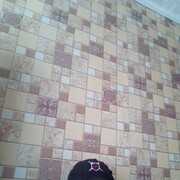 ���������� ����������, ���� ������� ������, 43 ����, ������������ ��� ������, ����� � ���������, c�������� ���������