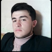  ,   Kobra, 31 ,   ,   , c 
