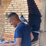  --,   Fernando, 31 ,   ,   , c , 