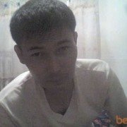  ,  mangust, 39