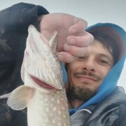 ���������� �����, ���� ������� ���������, 40 ���, ������������ ��� ������, ����� � ���������