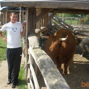  ,   Vitalik, 40 ,   