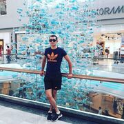 ���������� �������, ���� ������� ����, 29 ���, ������������ ��� ������, ����� � ���������