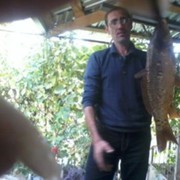  ,   , 48 ,   ,   , c 