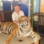 ���������� �����������, ���� ������� ������, 44 ����, ������������ ��� ������, ����� � ���������, c�������� ���������