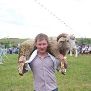 ���������� ������, ���� ������� �����, 37 ���, ������������ ��� ������, ����� � ���������