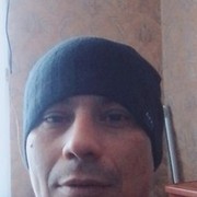 ���������� �����������, ���� ������� ����, 43 ����, ������������ 