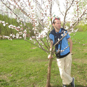 ���������� �����, ���� ������� ���, 45 ���, ������������ ��� ������, ����� � ���������, c�������� ���������