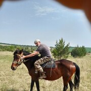  ,   , 54 ,   ,   