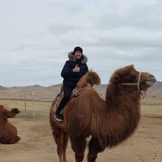  ,   Alex, 43 ,   ,   , c , 