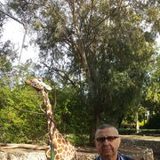  ,   Ilie, 71 ,   ,   