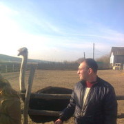 ���������� �������, ���� ������� Slava, 49 ���, ������������ ��� ����� � ���������, c�������� ���������