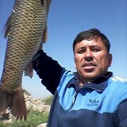  ,   , 47 ,     