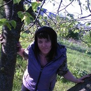  ,   , 41 ,     , c 
