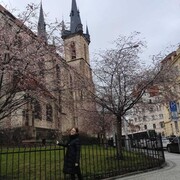 ���������� ������, ���� ������� ����������, 27 ���, ������������ ��� ������, ����� � ���������