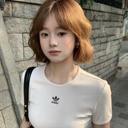  -,   , 23 ,   , 