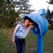 ���������� �����, ���� ������� �������, 43 ����, ������������ 