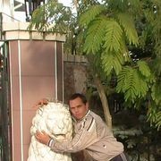  -,   Aleksandr, 43 ,   ,   , c 