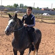 ���������� ������, ���� ������� Magzhan, 37 ���, ������������ ��� ������, ����� � ���������, c�������� ���������, ���������