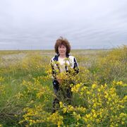 ���������� ���������, ���� ������� �������, 66 ���, ������������ ��� c�������� ���������