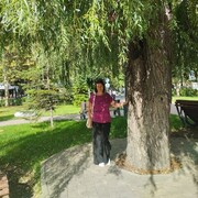 ���������� ������������, ���� ������� ����������, 39 ���, ������������ ��� ������, ����� � ���������, c�������� ���������