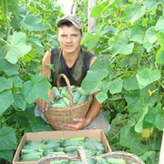 ���������� ��������, ������� �����, 41