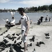 ���������� ����, ���� ������� ����, 28 ���, ������������ ��� ������, ����� � ���������