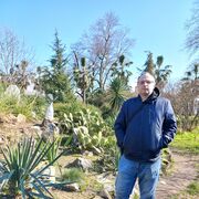 ���������� �����������, ���� ������� Pitruha, 41 ���, ������������ ��� ������, ����� � ���������, c�������� ���������, ���������