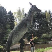  Mikolow,  Sergio, 26