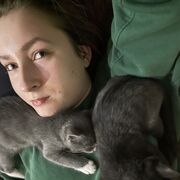 ���������� ����, ����