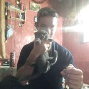 ���������� ������, ���� ������� ���������, 40 ���, ������������ ��� ������, c�������� ���������