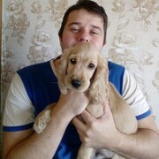 ���������� �������, ������� ����, 33