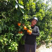  ,   Romic, 44 ,   ,   , c 