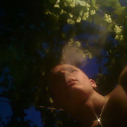 ���������� ����������, ���� ������� ����, 33 ����, ������������ ��� ������, ����� � ���������, c�������� ���������