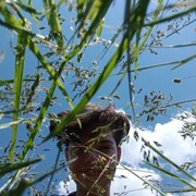 ���������� ������, ���� ������� ��������, 21 ���, ������������ ��� ������, ����� � ���������