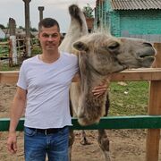 ���������� ������, ���� ������� ������, 42 ����, ������������ ��� ������