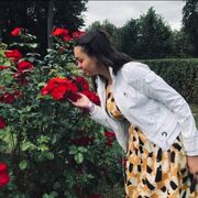 ���������� �����-���������, ������