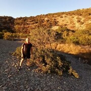  --,   , 41 ,   ,   