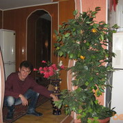  ,   , 54 ,   
