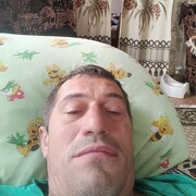   ,  , 43